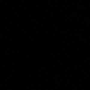 Meet your Posher, Maia